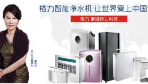 格力電器網(wǎng)絡(luò)營銷與網(wǎng)絡(luò)技術(shù)推廣整合方案